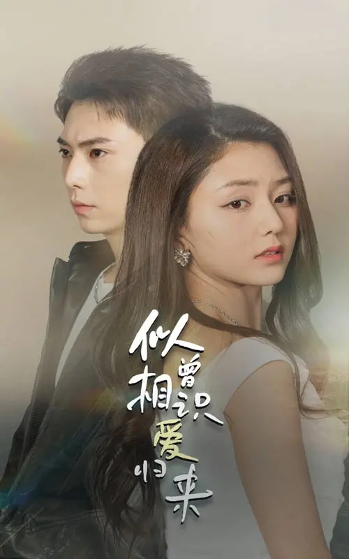 似曾相识爱归来：命运轮回中的永恒爱情传奇