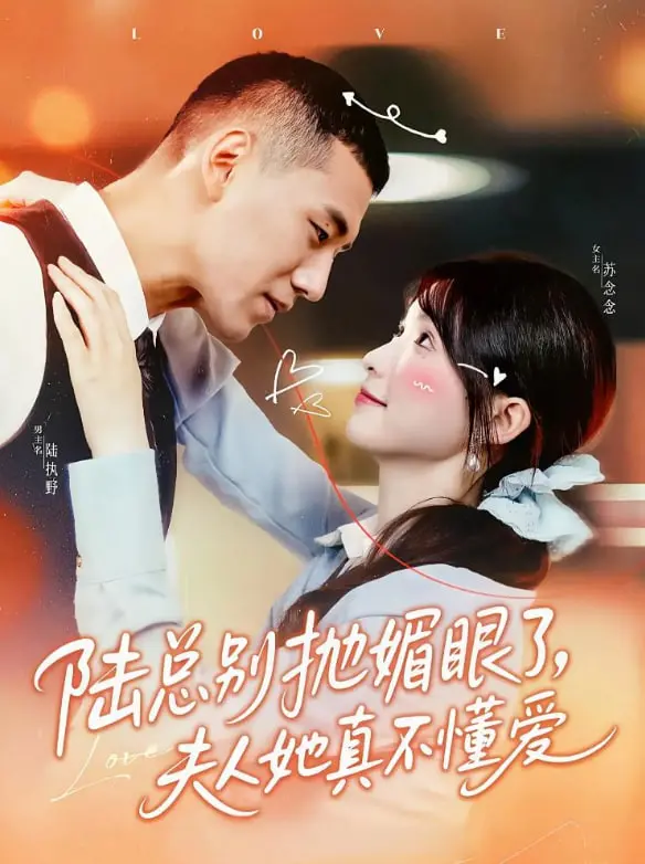 《陆总别抛媚眼》：霸总追妻火葬场？夫人她真不懂爱！