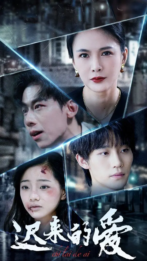 《迟来的爱》：跨越时空的深情告白，迟到但永不缺席的爱！